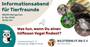 Bild: Einladung zum Vortrag am 8. Mai 2025 um 18:30 in Weingarten Thema: Was tund, wenn Du einen hilflosen Vogel findest?